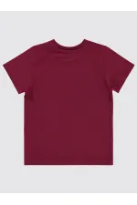 T-shirt garçon 2-5 ans Prune - Paquet