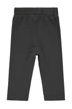 Collants bébé 0-24 mois Anthracite - Pack