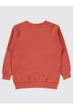 Boys Sweatshirt 2-5 Years Old Tile - Package