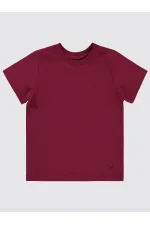 T-shirt garçon 2-5 ans Prune - Paquet