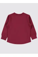 Boys Sweatshirt 2-5 Years Old Burgundy - Package