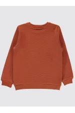 Boy Sweatshirt 6-9 Years Old Copper - Pack