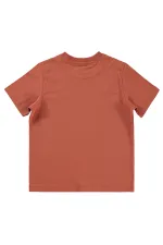 Boys T-Shirt 6-9 Years Old Dark Copper - Pack Boys T-Shirt 6-9 Years Old Dark Copper - Pack