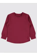Boys Sweatshirt 2-5 Years Old Burgundy - Package