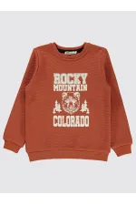 Boy Sweatshirt 6-9 Years Old Copper - Pack