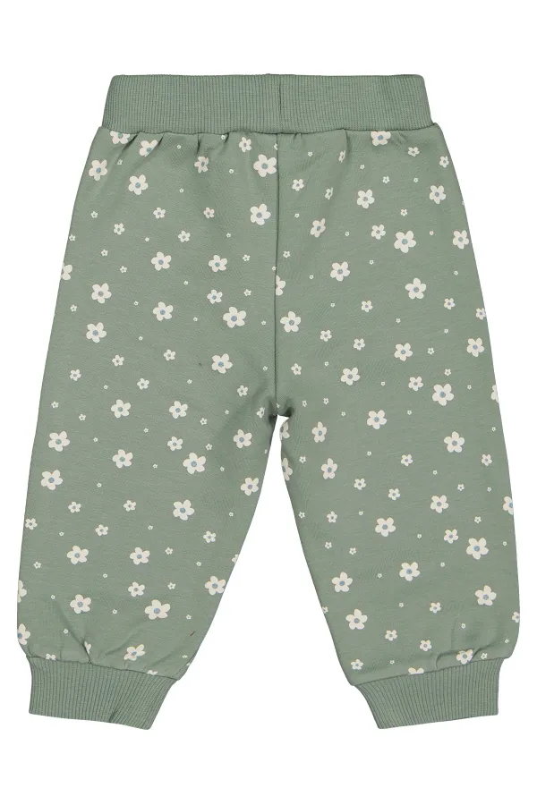 Almond Green Baby Tracksuit Bottoms - Pack