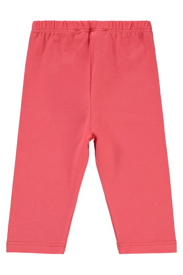 Collants bébé 0-24 mois Rose Géranium - Pack