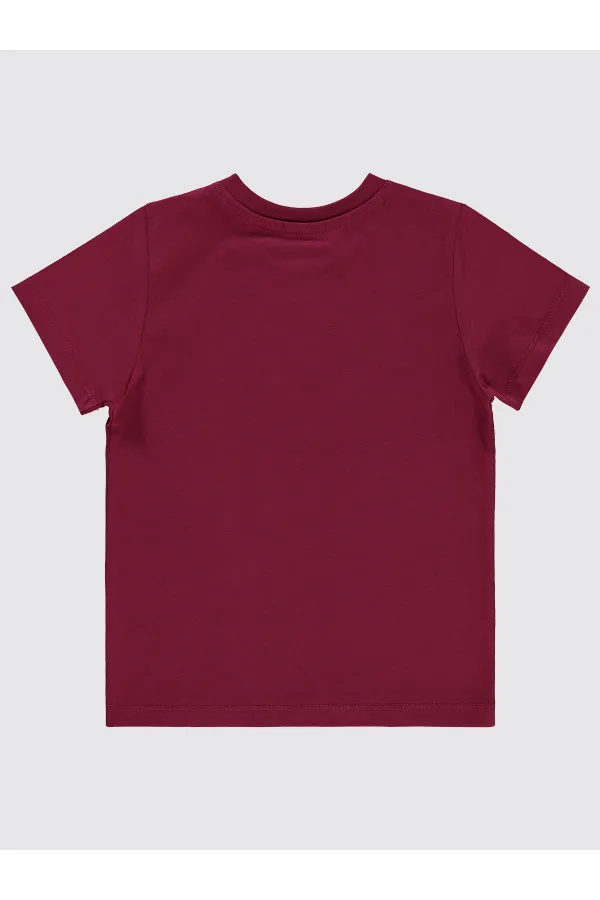 T-shirt garçon 2-5 ans Prune - Paquet
