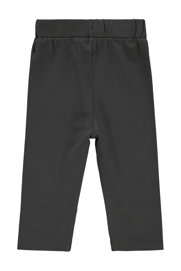 Collants bébé 0-24 mois Anthracite - Pack
