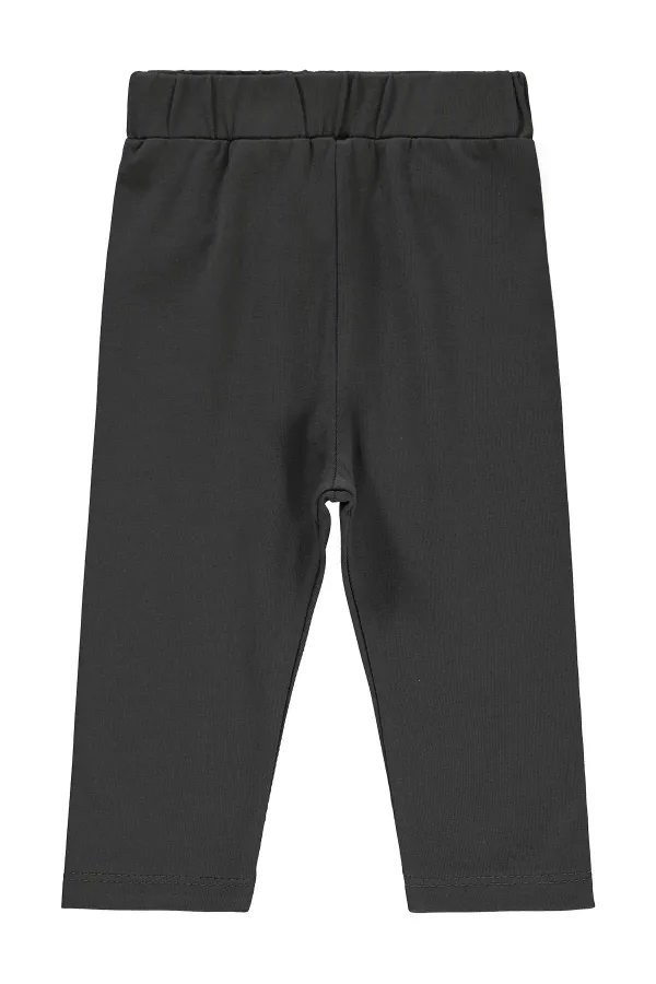 Collants bébé 0-24 mois Anthracite - Pack