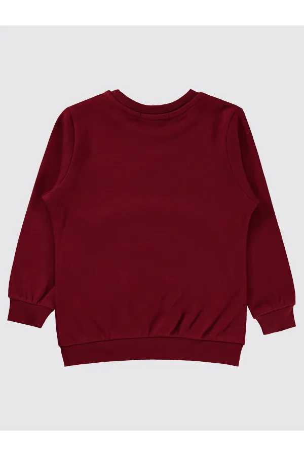 Sweat-shirt garçon 2-5 ans Bordeaux - Paquet