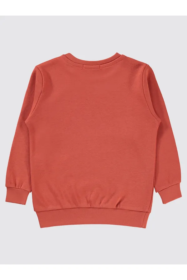 Boys Sweatshirt 2-5 Years Old Tile - Package