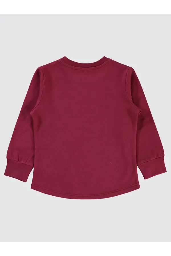 Boys Sweatshirt 2-5 Years Old Burgundy - Package