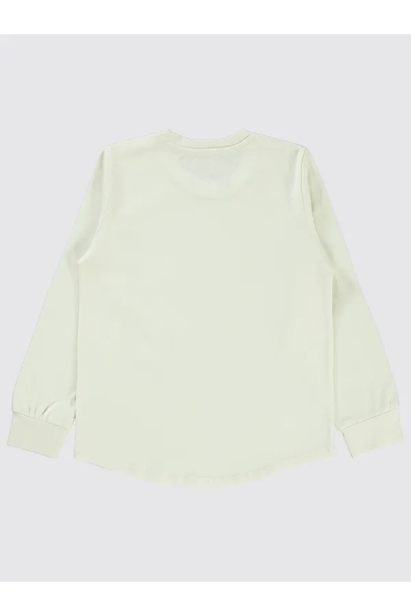 Erkek Çocuk Sweatshirt 6-9 Yaş FilDişi - Paket