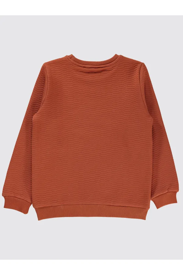 Boy Sweatshirt 6-9 Years Old Copper - Pack