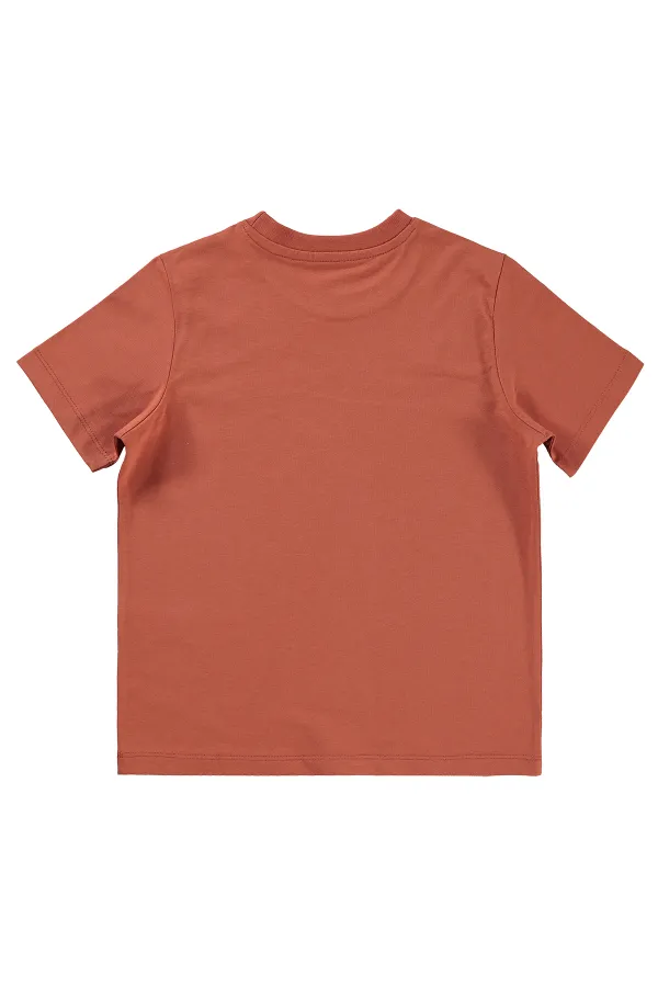 Boys T-Shirt 6-9 Years Old Dark Copper - Pack Boys T-Shirt 6-9 Years Old Dark Copper - Pack