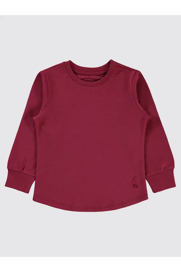 Boys Sweatshirt 2-5 Years Old Burgundy - Package